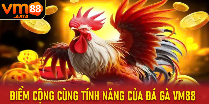 Những điểm cộng cùng tính năng nổi trội tại sảnh cá cược đá gà vm88 