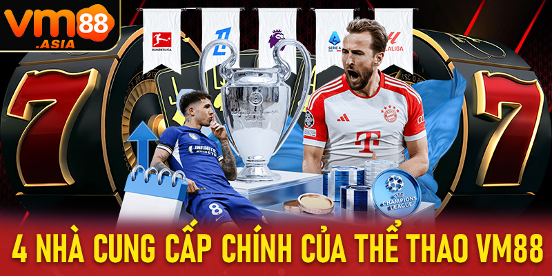 Danh sách 4 nhà cung cấp có tiếng nhất hiện nay tại thể thao vm88