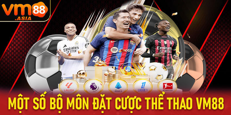 Một số bộ môn đặt cược thể thao vm88 đang chiếm lĩnh thị trường Châu Á